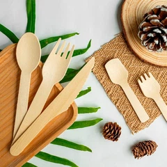 Disposable Wooden Cutlery