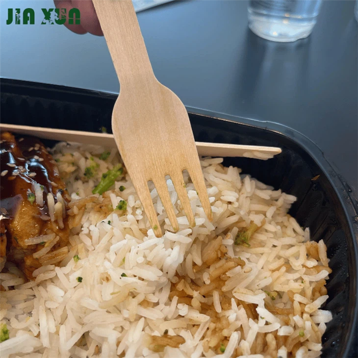 Disposable environmentally friendly biodegradable wooden fork