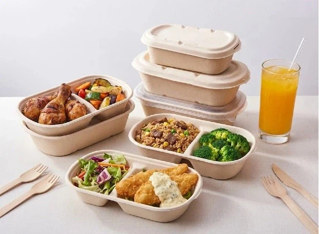 Eco-friendly sugarcane box with lid used as biodegradable salad container and sustainable food delivery packaging Eco-friendly sugarcane box with lid used as biodegradable salad container and sustainable food delivery packaging