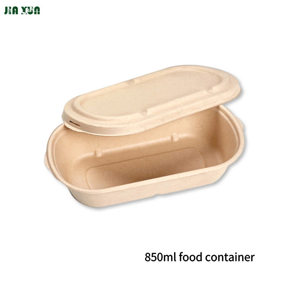Sugarcane Box With Lid